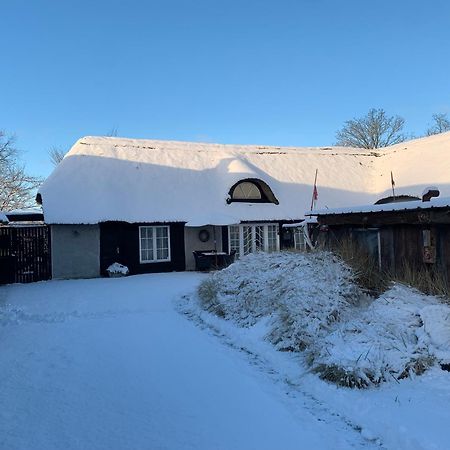 Farm61 Badehotellet I Det Midtjydske - Alder +18 Ar Tjele Dış mekan fotoğraf