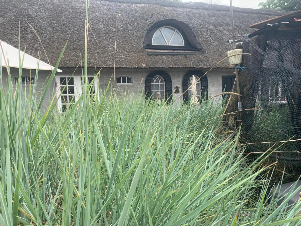 Farm61 Badehotellet I Det Midtjydske - Alder +18 Ar Tjele Dış mekan fotoğraf